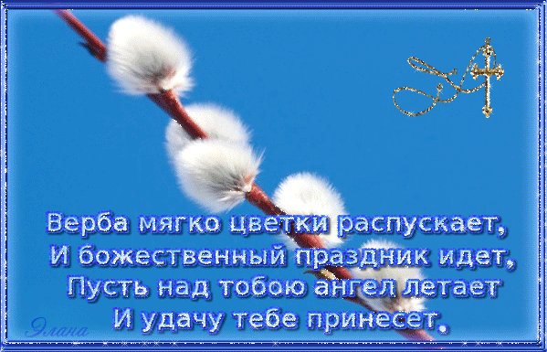 Стишок на фоне веточки вербы gif.