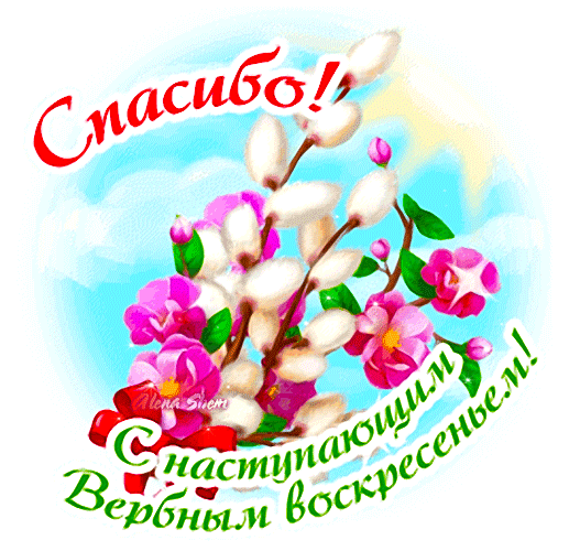 Гиф стикер с надписью "Спасибо! С наступающим Вербным Воскресеньем! Мира и добра!".