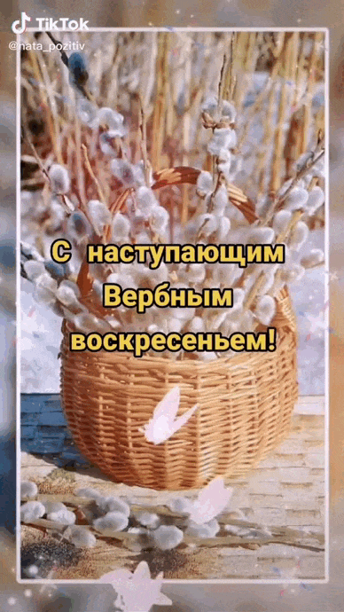 Красивая весенняя гифка для того, чтобы поздравить всех знакомых с наступающим праздником Вербного Воскресенья.