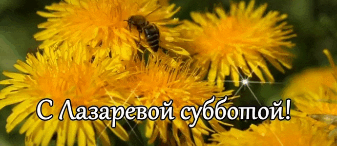 Gif картинка с пчелой в одуванчиках на Лазареву субботу. Gif картинка с пчелой в одуванчиках на Лазареву субботу.
