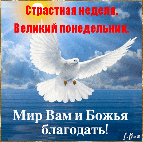 Гифка с белым голубем "Великий Понедельник - начало страстной недели". Мир Вам и Божья благодать. Гифка с белым голубем "Великий Понедельник - начало страстной недели". Мир Вам и Божья благодать.