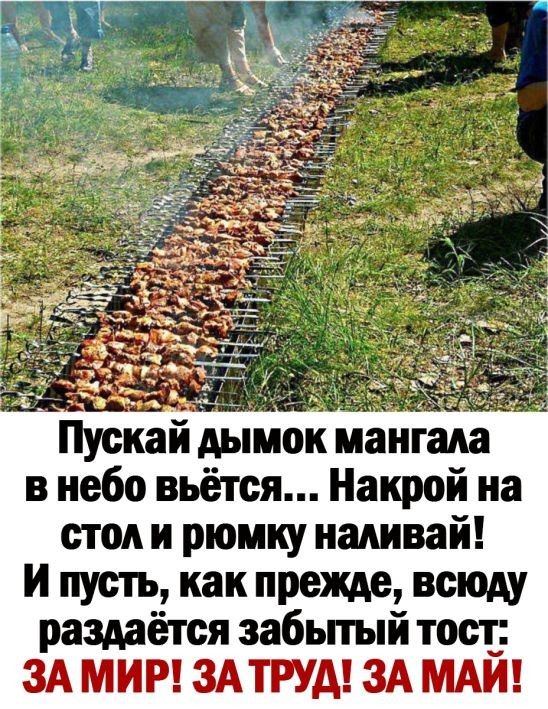 Приколы про шашлыки на Первомай.