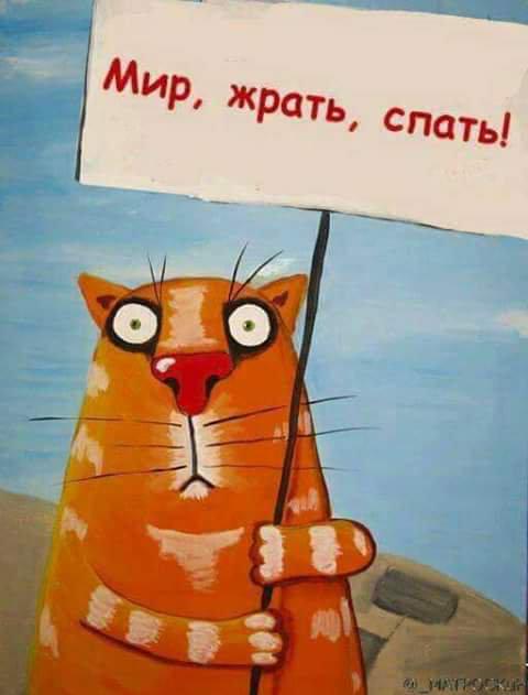 Кот с картинки Васи Ложкина с плакатом "Мир, жрать, спать!".