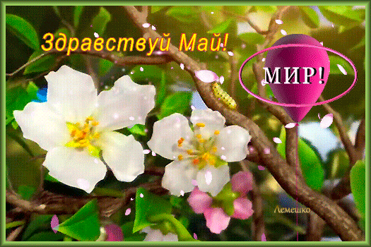 Необычная гифка Здравствуй Май!. Необычная гифка Здравствуй Май!.