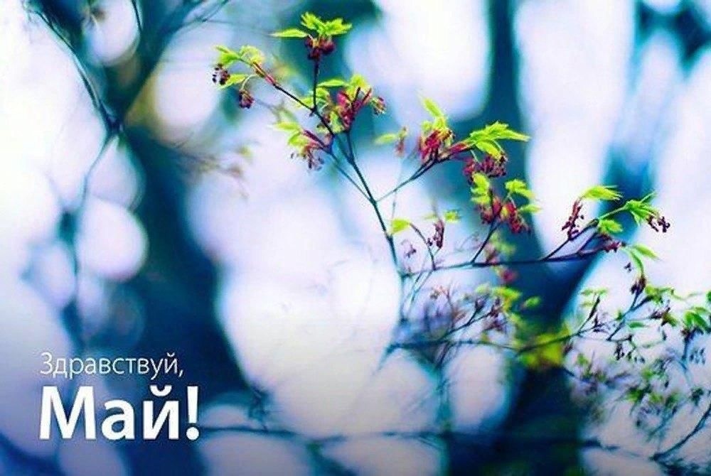 Открытка с Майским приветствием. Открытка с Майским приветствием.