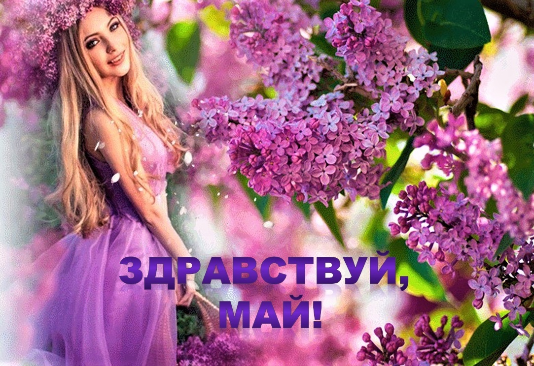 Открытка с красивой девушкой в сирени "Здравствуй, Май!". Открытка с красивой девушкой в сирени "Здравствуй, Май!".
