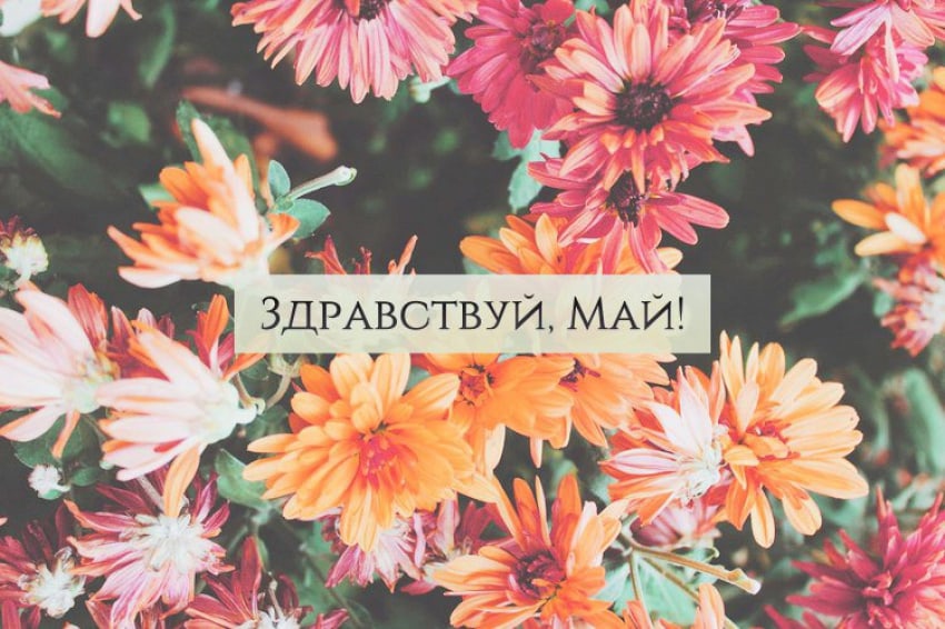 Креативная открытка с цветами "Здравствуй, май!". Креативная открытка с цветами "Здравствуй, май!".