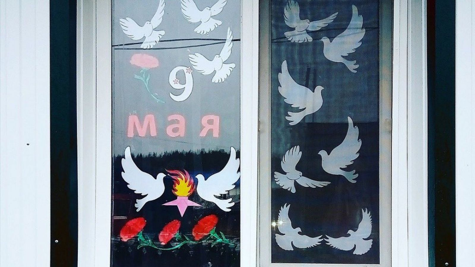 Вот кто то вырезал белых голубей мира к 9 мая.