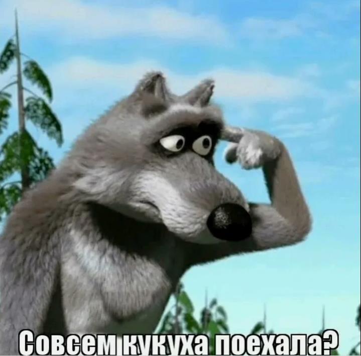 Мемная картинка с надписью "Совсем кукуха поехала?".