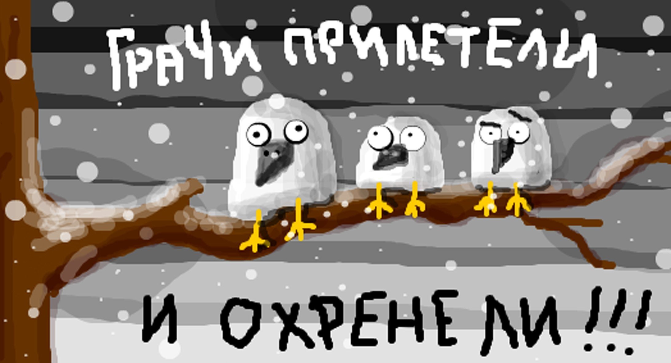 Картинка в мае грачи прилетели и охренели. Картинка в мае грачи прилетели и охренели.