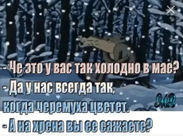 Мем из мультика чё это у вас так холодно в Мае? Да у нас всегда так, когда черёмуха цветёт. А на хрена вы её сажаете? Мем из мультика чё это у вас так холодно в Мае? Да у нас всегда так, когда черёмуха цветёт. А на хрена вы её сажаете?