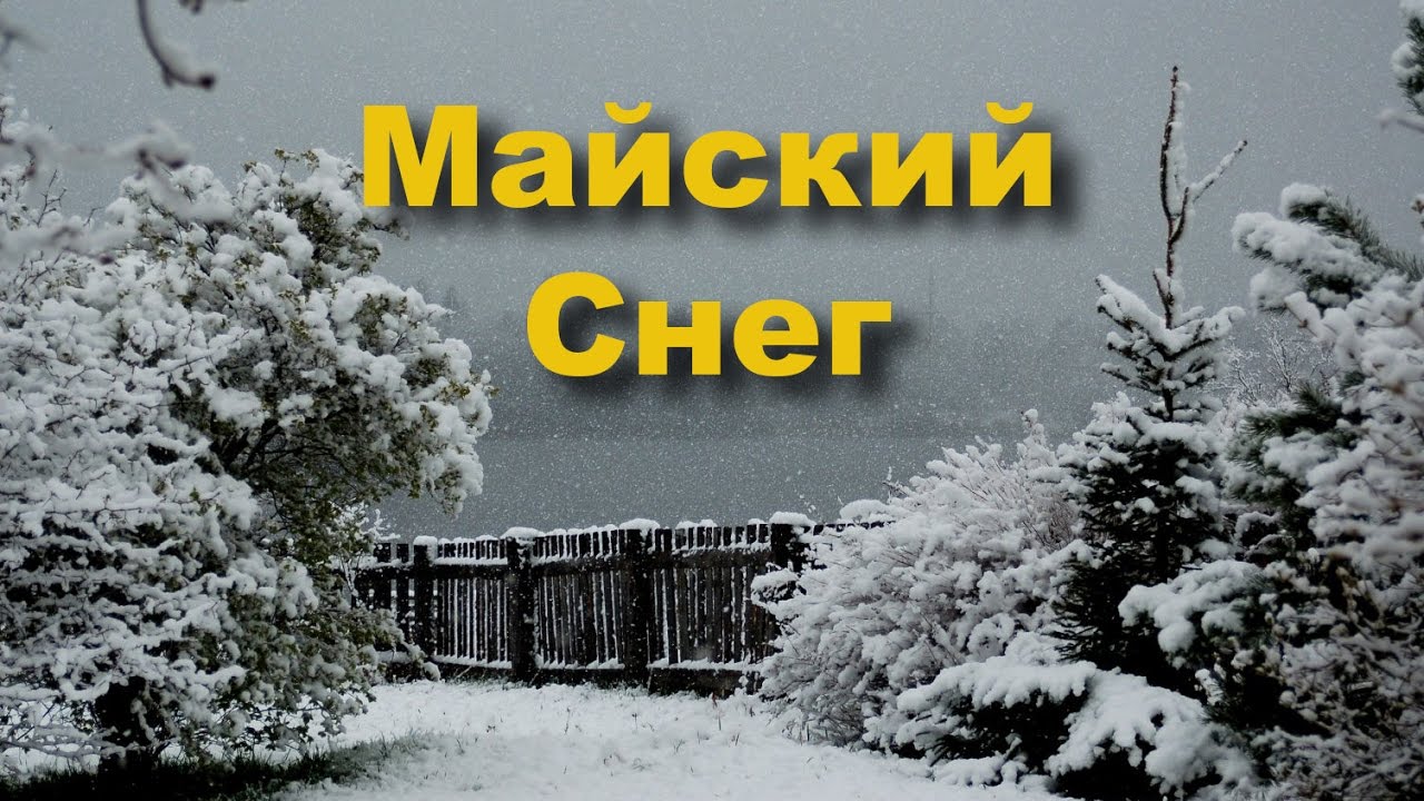 Фото года "Майский Снег!". Фото года "Майский Снег!".