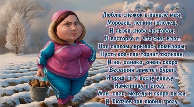 Весёлая картинка про снежок в начале мая, пора сажать картошку. Весёлая картинка про снежок в начале мая, пора сажать картошку.