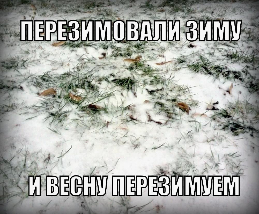 Прикольные в связи с Майским похолоданием "Перезимовали зиму, и весну перезимуем!". Прикольные в связи с Майским похолоданием "Перезимовали зиму, и весну перезимуем!".