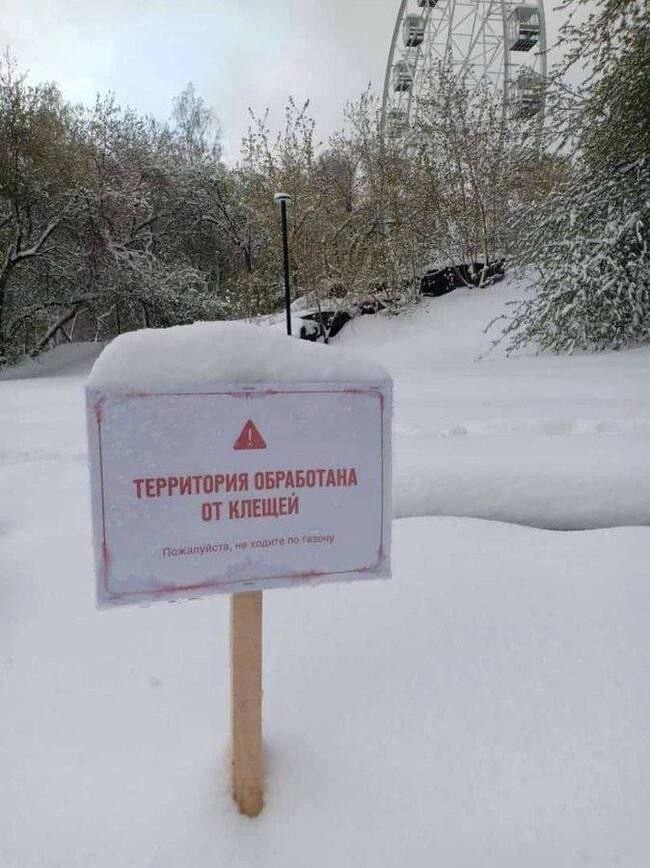 Юморная табличка с надписью "Территория обработана от клещей". Похоже что в Мае 2024 года, обработка велась снегом. Юморная табличка с надписью "Территория обработана от клещей". Похоже что в Мае 2024 года, обработка велась снегом.