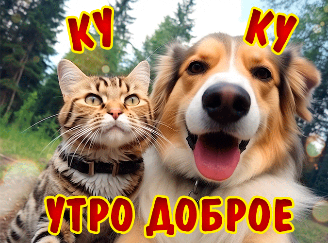 Смешная гифка с кошкой и собакой и текстом "Ку Ку, утро доброе!",