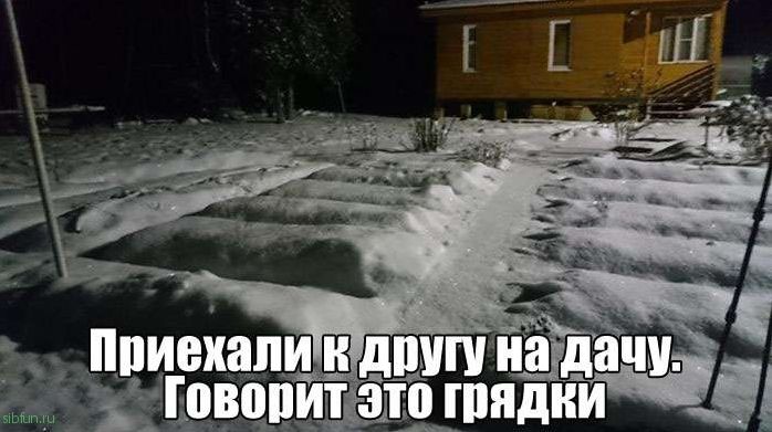 Прикол про зимние грядки в начале Мая. Прикол про зимние грядки в начале Мая.