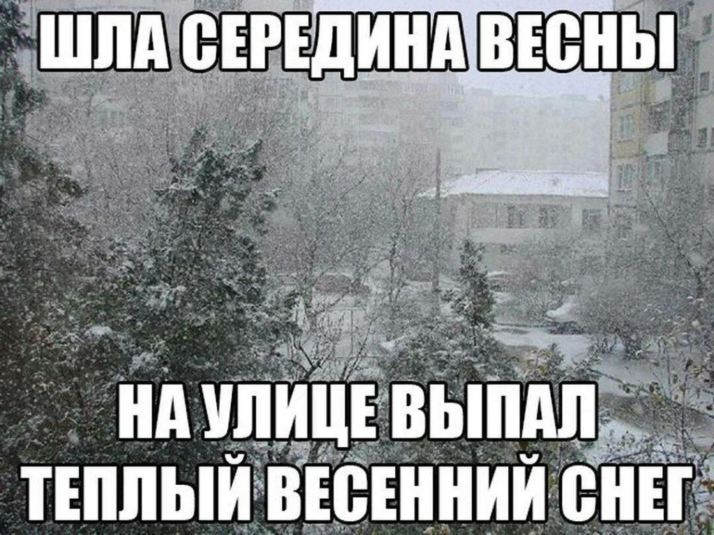 Шла середина весны, выпал тёплый весенний снег. Шла середина весны, выпал тёплый весенний снег.