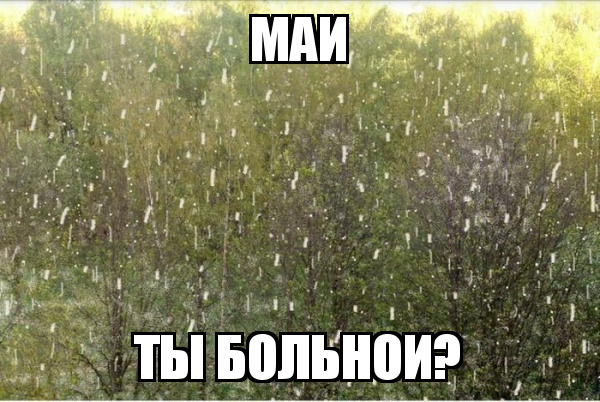Демотиватор Май ты больной? Демотиватор Май ты больной?