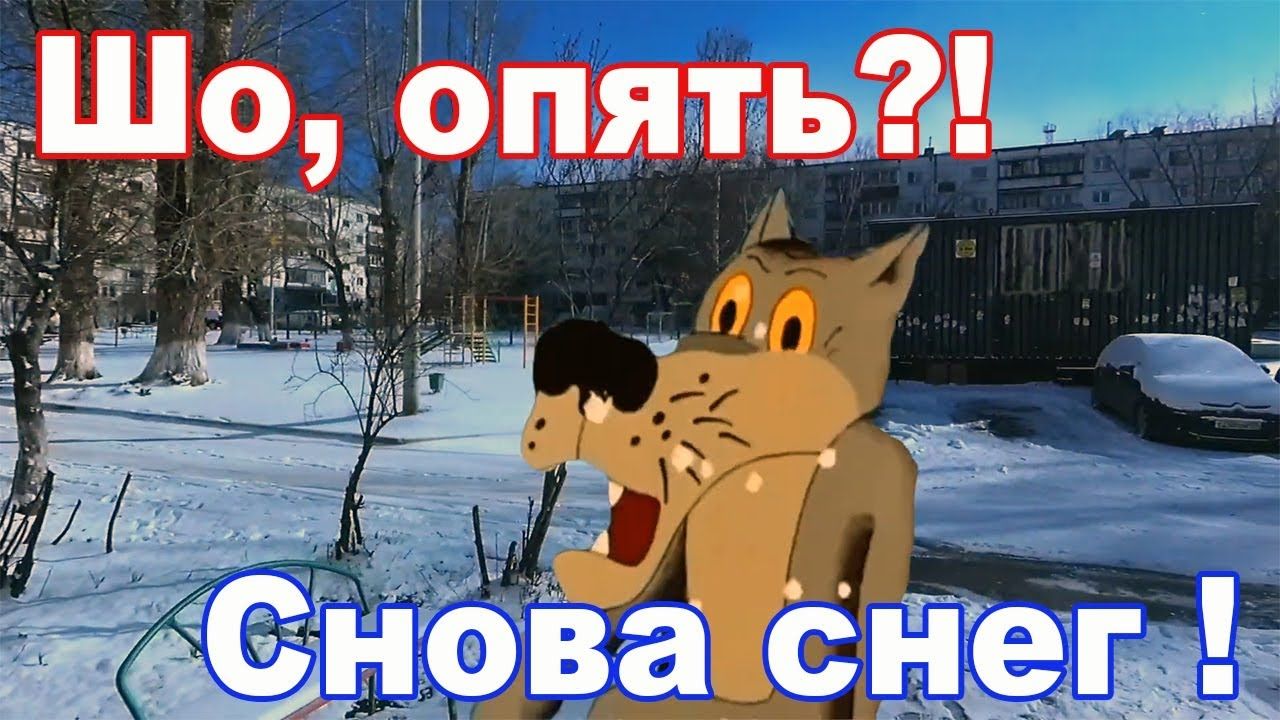 Угарная картинка с волком, "Шо, опять?! Снова снег!". Угарная картинка с волком, "Шо, опять?! Снова снег!".