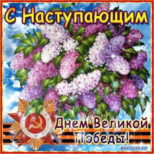 Гифка с букетом сирени и надписью "С наступающим днём Великой Победы!".