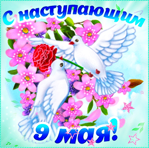 Гиф стикер с голубями мира Скоро 9 мая.