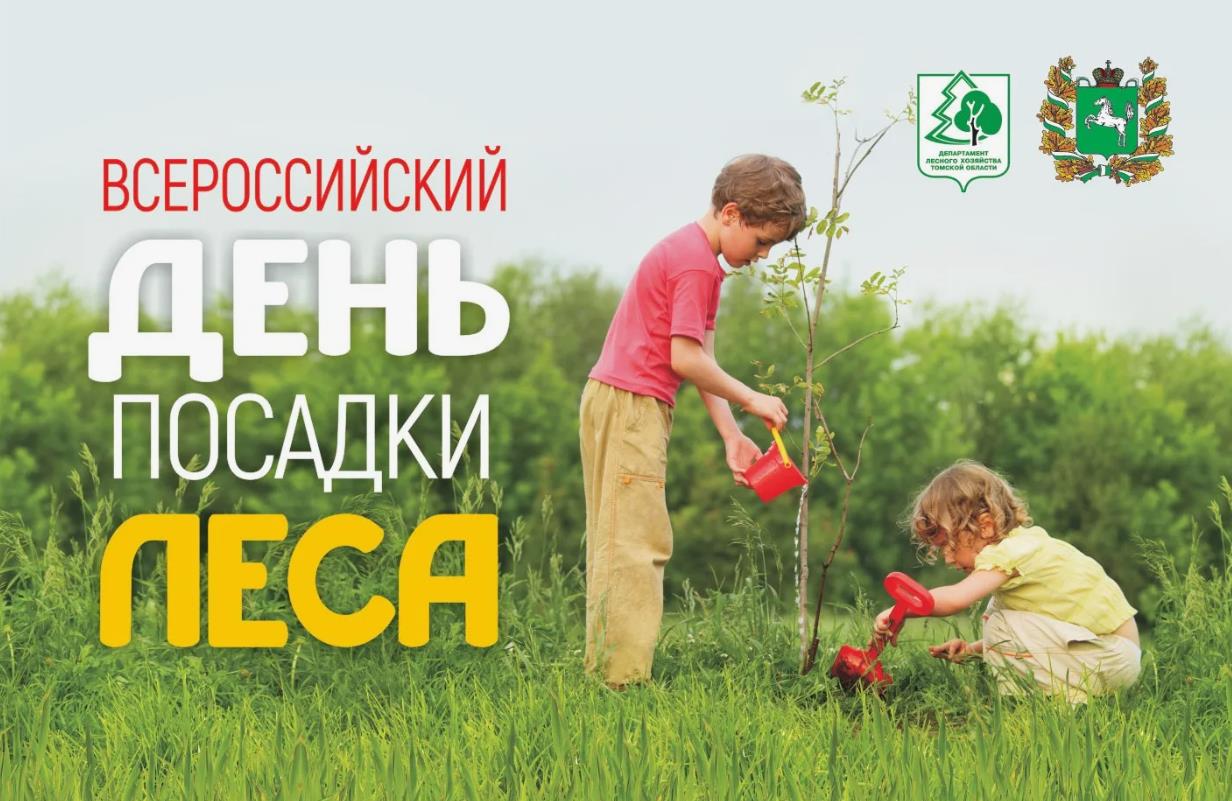 Красивая картинка для детей к всероссийскому дню посадки леса - 11 мая в 2024 году.