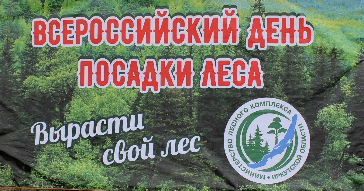 Прикольная открытка Вырасти свой лес, к всероссийскому дню посадки леса.