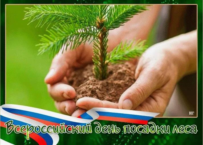 Патриотическая открытка с поздравлениями на Всероссийский день посадки леса 11 мая 2024.