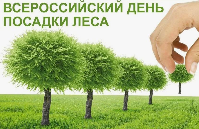 Креативная картинка для тех кто сажает лес.