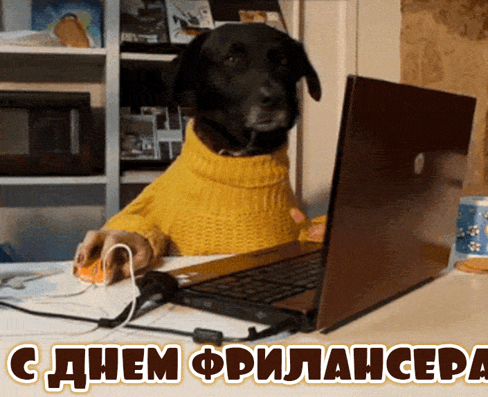 Смешная гифка с собакой за компьютером ко дню фрилансера. Смешная гифка с собакой за компьютером ко дню фрилансера.