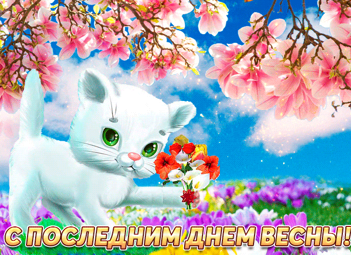 Нежная gif картинка с кошечкой и поздравлением с последним днём Весны.