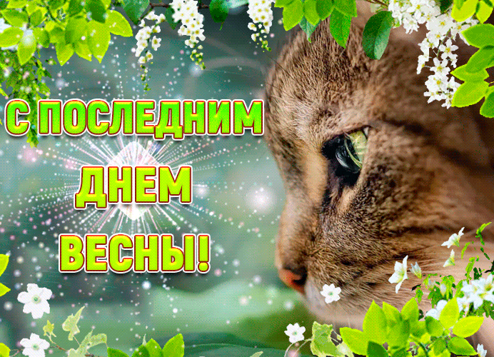 Прикольная гиф открытка с котом и словами "С последним днём Весны!".