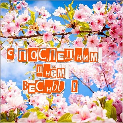 Весенняя открытка с цветами и надписью "С последним днём Весны!".
