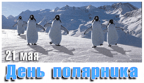 Смешная гифка с танцующими пингвинами на день полярника 21 мая.