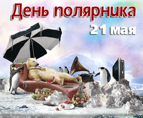 Смешные гифки с днём полярника 21 мая с белым медведем и пингвинами.