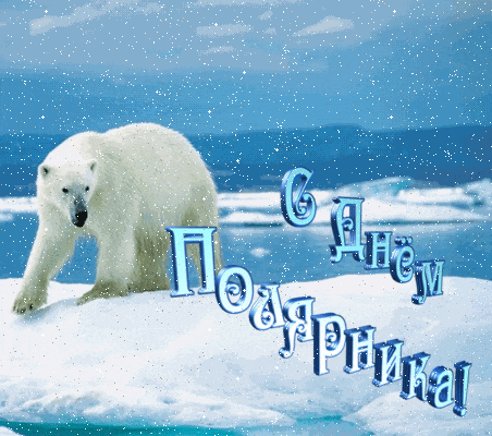 Зимняя гиф открытка с белым медведем на день полярника.