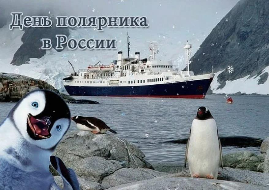 Весёлая картинка с пингвинами для детей ко дню полярника.