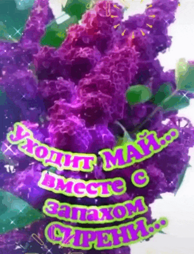 Новая мерцающая gif картинка "Уходит Май, вместе с запахом сирени!".