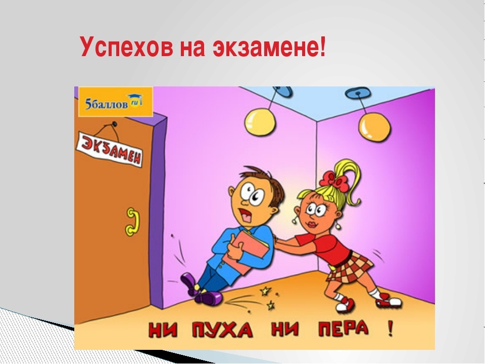 Смешной рисунок "Успехов на экзамене! Ни пуха, ни пера!".