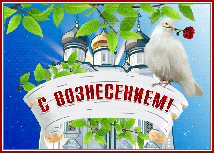 Летняя гиф открытка с голубем с розой в клюве на Вознесение. Летняя гиф открытка с голубем с розой в клюве на Вознесение.