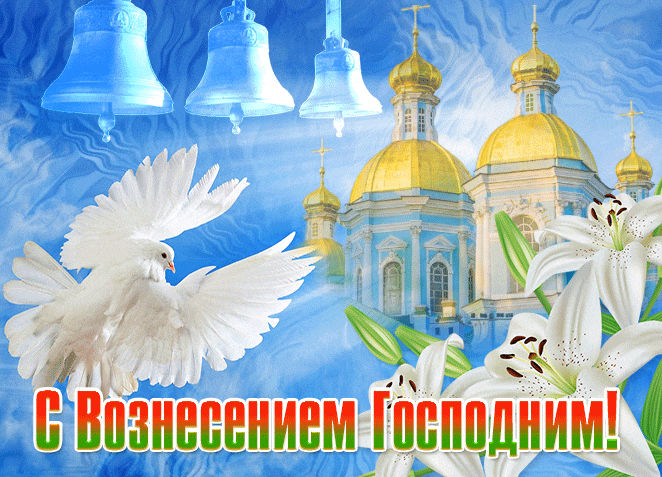 Небесные гифки с белым голубем и лилиями на Вознесение. Небесные гифки с белым голубем и лилиями на Вознесение.