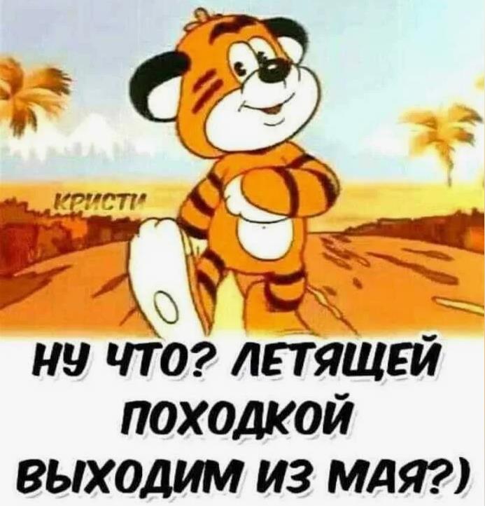 Мемная картинка с тигрёнком и подписью "Летящей походкой я вышла из Мая!".