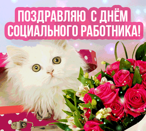 Смешная гифка с котом и поздравлением для соцработников страны.