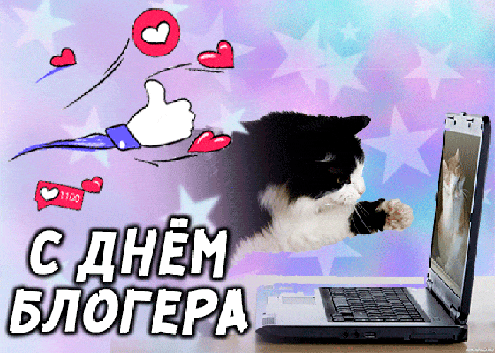 Прикольные и смешные гиф открытка с днём блогера с котом.