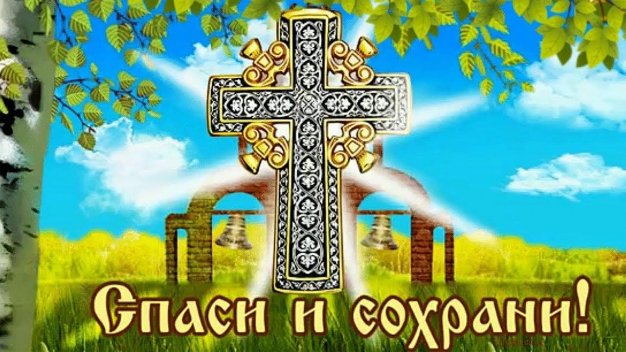 Красивая летняя картинка с крестом на фоне берёз и надписью "Спаси и Сохрани!".