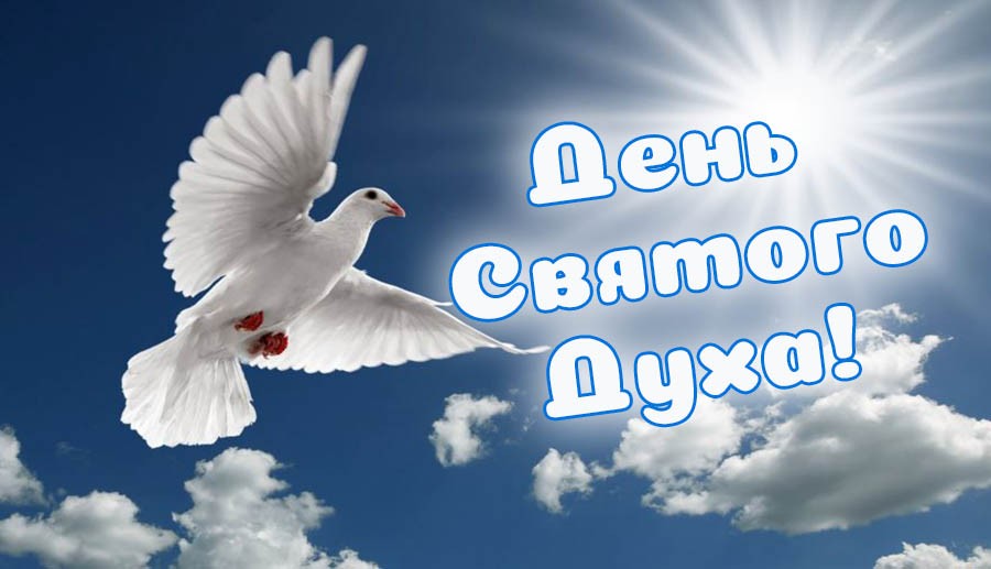 Новые открытки с днём Святого Духа 24 Июня 2024 с голубем мира.