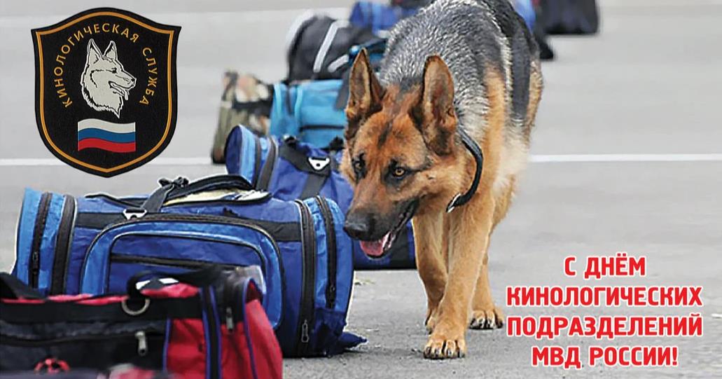Новые прикольные открытки с овчаркой с днём кинолога 21 Июня 2024.