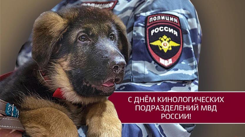 Красивая картинка со щенком ко дню кинологических подразделений МВД РФ.