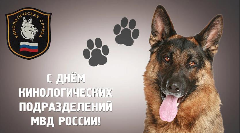 Забавная фотография овчарки с подписью "С днём кинологических подразделений МВД России!".